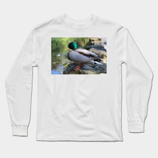 Mallard Duck Long Sleeve T-Shirt